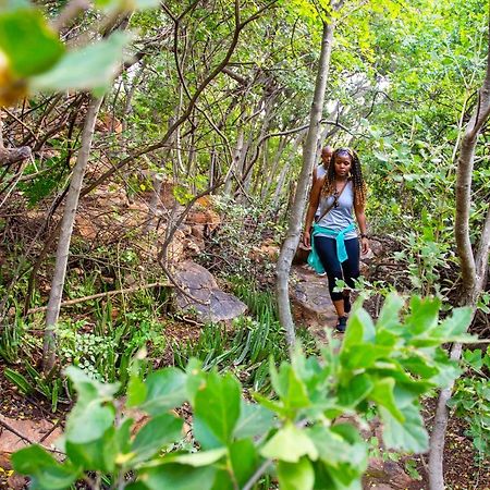 Penzion The Cliffside Boutique Getaway Johannesburg Exteriér fotografie